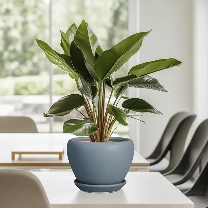 Ceramic Pot for Plants - 6 Inch Plant Pot Indoor with Drainage Hole and Saucer Decorative Planter for Outdoor Plants Modern Succulent Pot Round Flower Pot Gray by GreenHaven Gardens