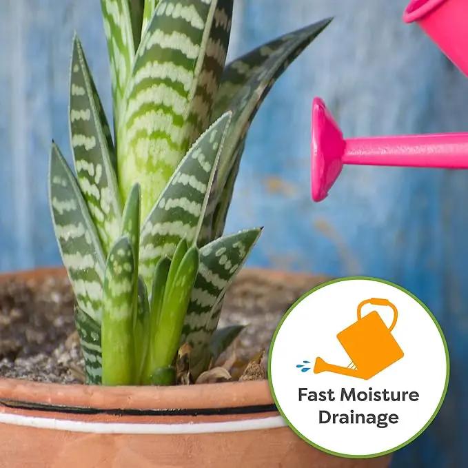 Perfect Plants Organic Snake Plant Soil in 4qt. Bag | Coco Coir Based Potting Mix Snake Plant Varieties by GreenHaven Gardens