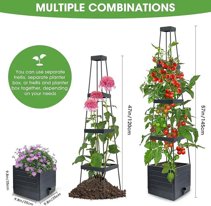 Raised Garden Bed Planter Box with Trellis, 58” Tomato Cage Planter Raised Garden Bed with Trellis for Climbing Vegetables Plants Tomato Cage w/Self-Watering, Indoor Outdoor Use (2) by GreenHaven Gardens