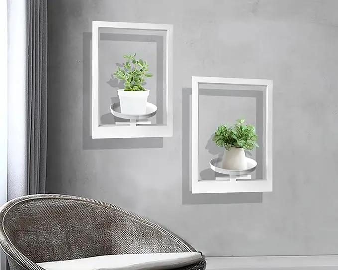 Picture Frame Plant Holder, Wall Mount Plants shelf Indoor Outdoor, Metal Hanging Planters Stand Decor, Window Planter Hanger Shelves, Modern Floating Ornament Rack Art for Home & Garden((White 2pc)) by GreenHaven Gardens