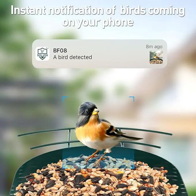 Soliom- Bird Feeder with Camera, 5W Solar Powered, AI Identify Species, Smart Wild Bird Watching, 2K Live View, Instant Arrival Alerts,Large 2.7L Seed Capacity, Metal Squirrel Chew-Proof - BF08 Green by GreenHaven Gardens