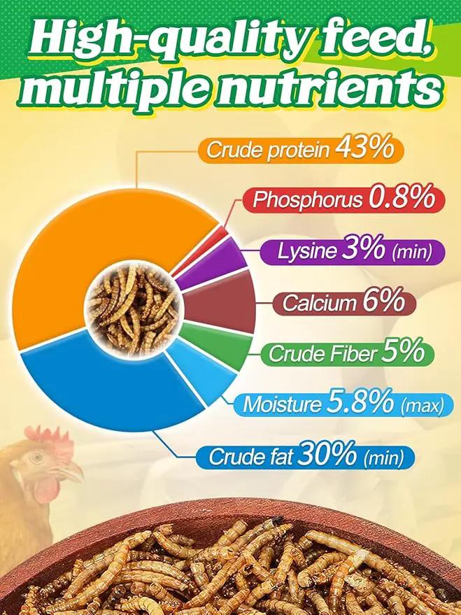 Mealworms Chicken Treats 3 Lbs with Handle Packing, High-Protein Promote Egg Production, Natural Chicken Feed for Laying Hens Wild Birds Ducks by GreenHaven Gardens