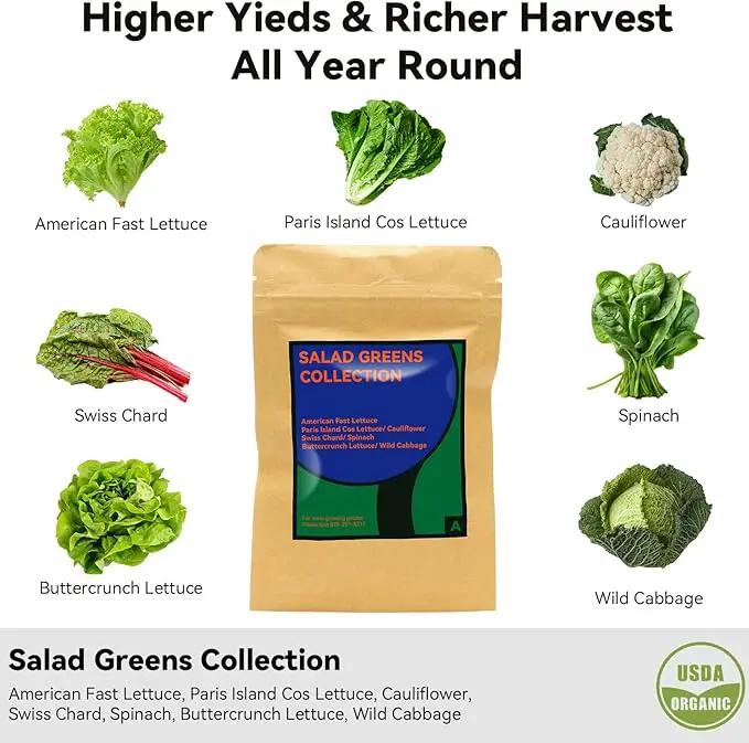 inbloom Salad Green Seed Pod Kit for AeroGarden, Ahopegarden, GARDENCUBE, MUFGA, 12 Pods (350+ Seeds with American Fast/Paris Island/Buttercrunch Lettuce, Swiss Chard, Spinach, Cauliflower, Cabbage) by GreenHaven Gardens