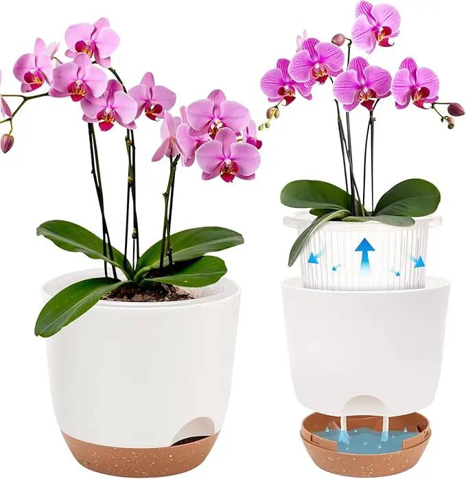 7.2 Inch Self Watering Orchid Pots for Indoor Plants,Macetas para Orqudeas,Flower Pots for Indoor Plants with Holes(White) by GreenHaven Gardens