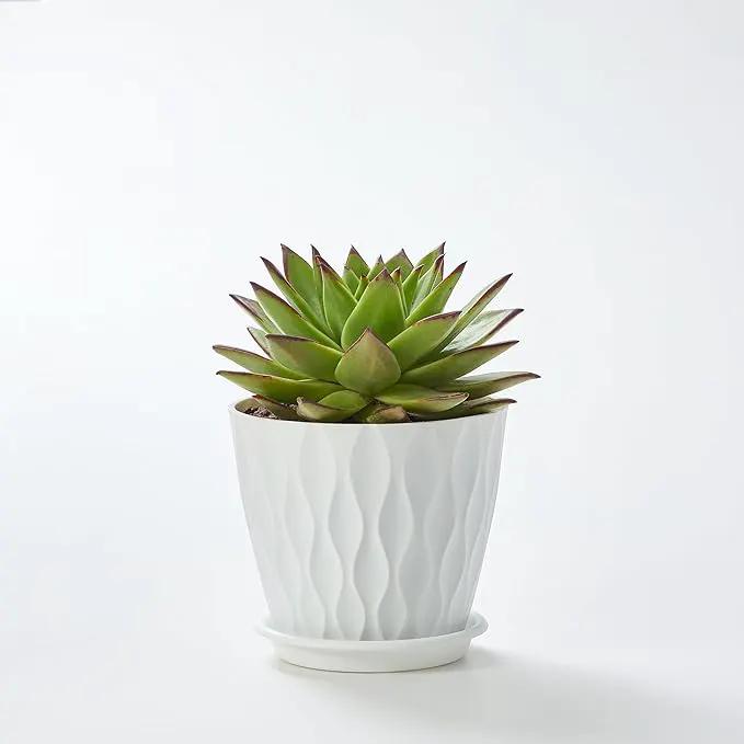 FaithLand 6-Pack 6-Inch Plastic Plant Pots with Saucers | Thickened PP Material, Modern Wave Texture, Enhanced Drainage for Indoor/Outdoor Garden Plants | White Value Set by GreenHaven Gardens