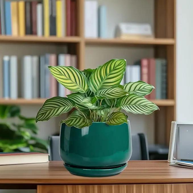 G EPGardening Ceramic Planter for Indoor Plants - 7 Inch Plant Pot, Round Planter with Drainage and Saucer, Round Flower Pots for Outdoor, Modern Desk Decor, Gift for Women Men, Green by GreenHaven Gardens