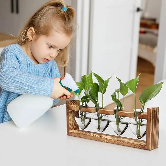 Plant Propagation Stations Heart Plant Terrarium Kit Gift for Women Plant Lover Glass Vases by GreenHaven Gardens