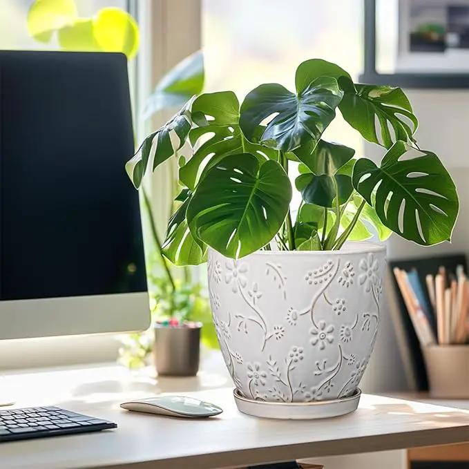 8 Inch Ceramic Pots for Plants Large Planter Pot with Drainage Hole and Saucer Round Flower Pot for Indoor Outdoor Decor, White by GreenHaven Gardens