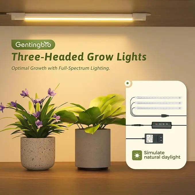 Plant Stand Indoor with Grow Lights for Indoor Plants 62.2'' Tall Plant Shelf 12 Tiers Sturdy Plant Rack for Plants Dispaly for Living Room Garden Patio Decor by GreenHaven Gardens