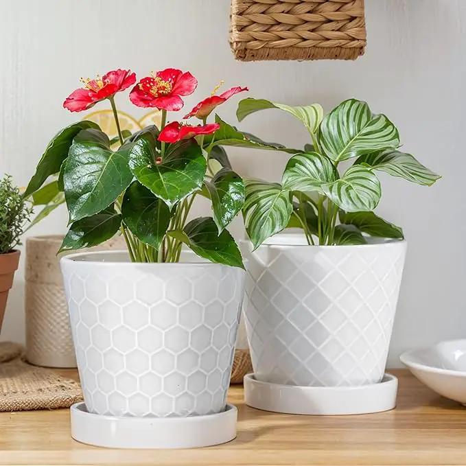 EFISPSS Ceramic Plant Pots, 6 Inch Pots for Indoor Plants, Planters with Drainage Hole and Saucer, Flower Pots Desktop Office Windowsill Decoration Gift Set of 2 - White by GreenHaven Gardens