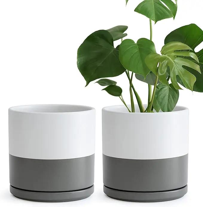 D'vine Dev Set of 2 Plants Pots, 8 Inch Ceramic Planter Pot for Plants with Drainage Hole and Saucer, White/Speckled Grey, 94-V-D-6 by GreenHaven Gardens