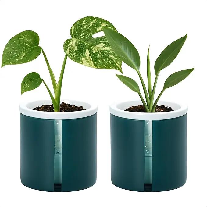 D'vine Dev 4 Inch Design Self Watering Planter for Indoor Plants, White Terracotta Pot with Teal Cylinder Glass Cup, Set of 2, 37-Y-A-5 by GreenHaven Gardens