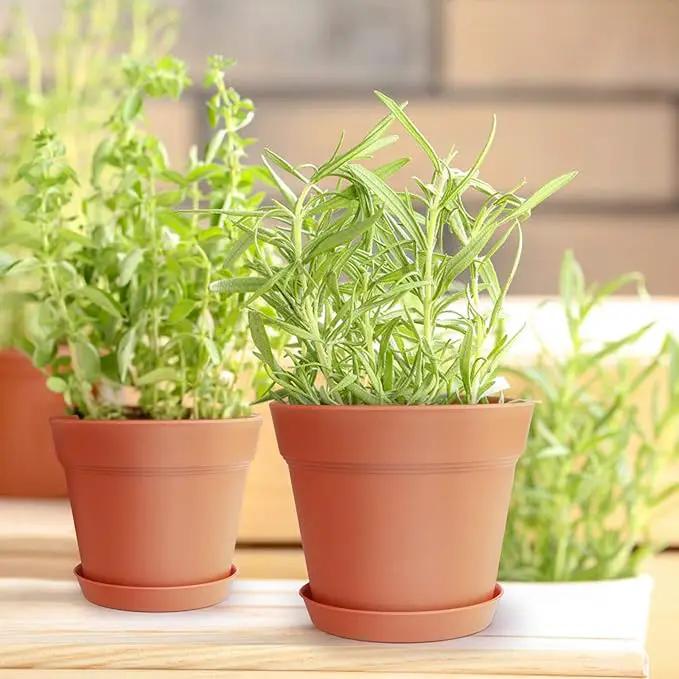 Homenote Pots for Plants, 15 Pack 6 Inch Plastic Planters with Multiple Drainage Holes and Tray - Plant Pots for All Home Garden Flowers Succulents (Terra Cotta) by GreenHaven Gardens