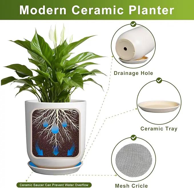 Plant Pot 8 Inch - Ceramic Planter for Indoor Plants Outdoor, Large Plant Pot with Drainage Hole and Saucer, Modern Flower Pot, White by GreenHaven Gardens