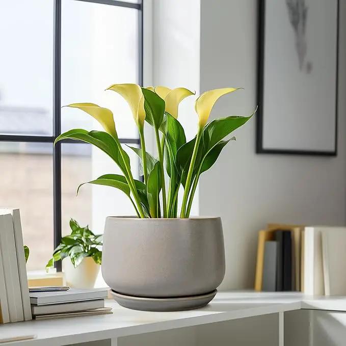 G EPGardening Ceramic Planter 9 Inch - Round Modern Plant Pots with Drainage and Plant Saucer Indoor Outdoor for Flower, Vanity Decor, House Gifts, Retro Grey by GreenHaven Gardens