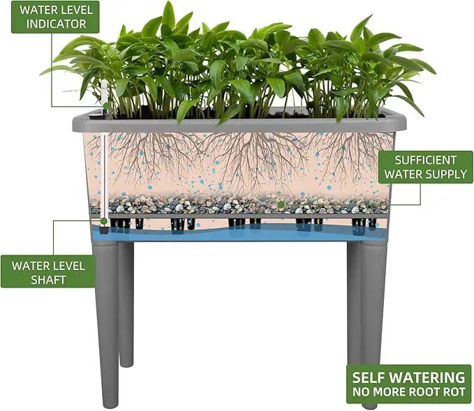 Dexceder 13.2 Gallon Self Watering Raised Garden Bed with Ventilation Transparent Lid Greenhouse, Deepen Vegetable Flower Box Planter Pot with Removeble Legs & Water Level Indicator (Deep Gray) by GreenHaven Gardens