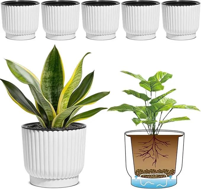 T4U 6 Inch Self Watering Pots for Indoor Plants, 6 Pack White Plastic Flower Pots for All House Plants, Flowers, African Violets by GreenHaven Gardens