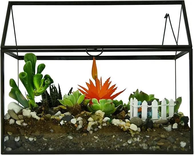 Black 1 Large Glass Plant Terrarium Kit with Lip Greenhouse for Succulents by GreenHaven Gardens