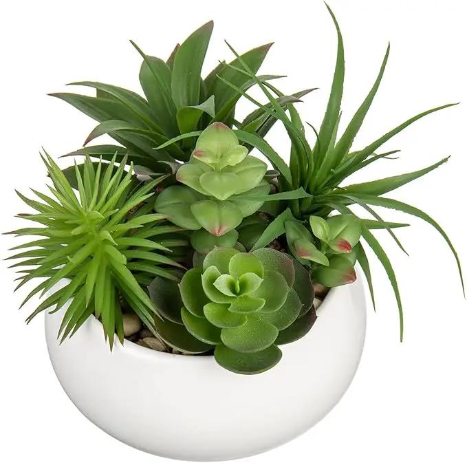 Fake Plants Artificial Succulents in Pots Faux Succulent Arrangement Potted Plant in White Ceramic Planter Bowl for Home Decor Office Desk Bathroom Shelf Living Room Indoor Decorations by GreenHaven Gardens