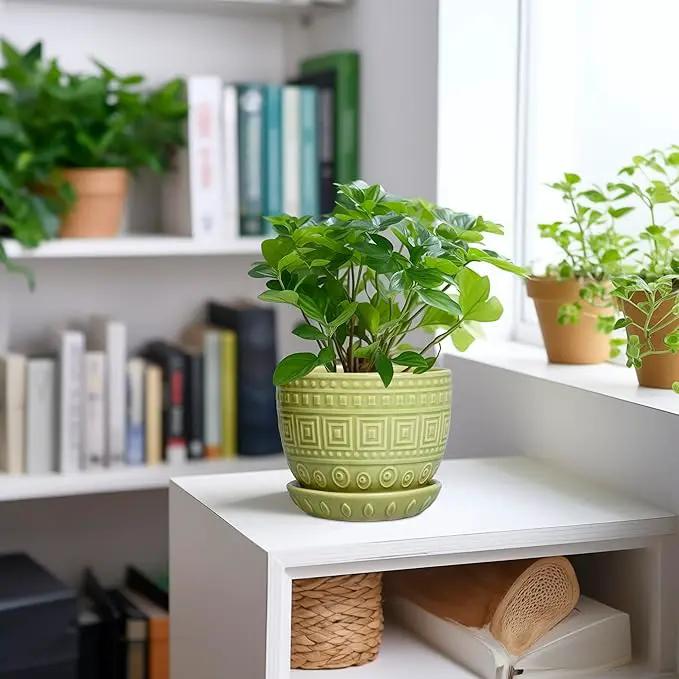 G EPGardening Ceramic Pots for Plants - 5.5 Inch Round Ceramic Planter for Indoor, Boho Succulent Pot with Drainage Hole and Plant Saucer, Gift for Plant Lover, Garden Home Desk Decor, Green by GreenHaven Gardens
