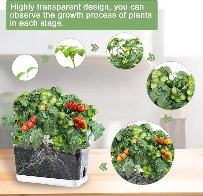 Self Watering Planters for Indoor Plants, 4 Pack Rectangular Clear Plant Pots with Drainage Holes for Spider Plant African Violet, Plant Growth Observations Plant Box for Kids by GreenHaven Gardens