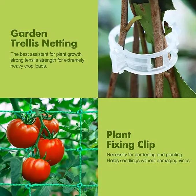 GOJAWAY 63" L x 63" H Cucumber Trellis for Raised Bed, Metal Arch Garden Trellis for Climbing Plants Outdoor, U-Shape Gardening Support Frame for Vegetable, Flower, Fruits, Vine by GreenHaven Gardens