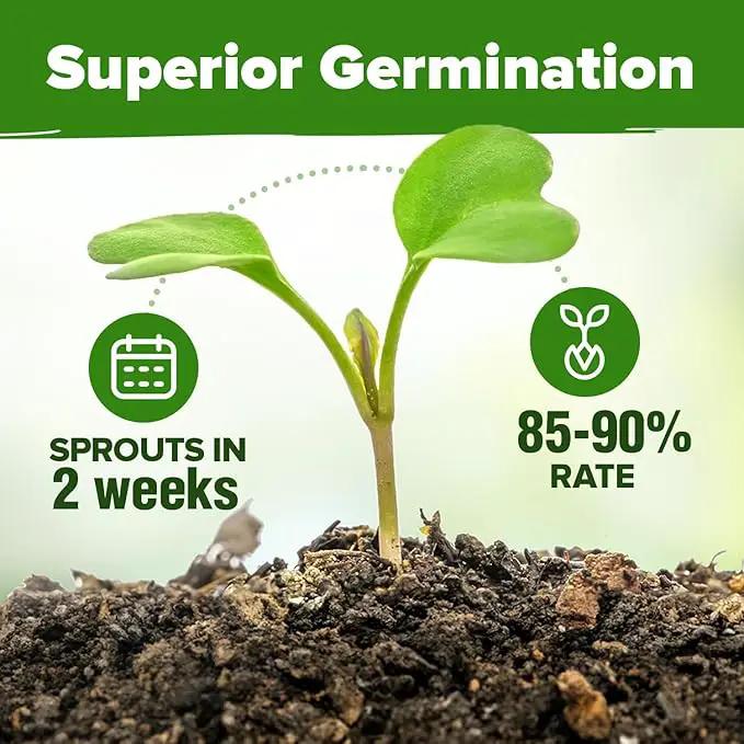 HOME GROWN 15 Herb Seeds for Planting 4,500+ Non-GMO Heirloom Seeds | Extra Large Variety Pack Herb Kit – Indoor Outdoor & Hydroponic | Culinary Seed Set | Grow Your Own Herbs | Gardening Gift by GreenHaven Gardens