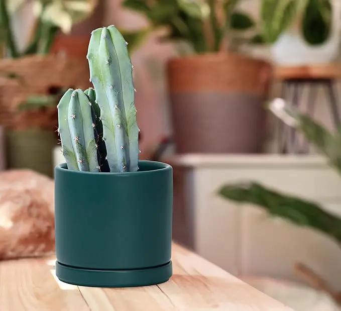 D'vine Dev 4.6 Inch, Ceramic Planter Pot with Drainage Hole and Saucer, Indoor Cylinder Round Planter Pot, Teal, 94-O-B-9 by GreenHaven Gardens