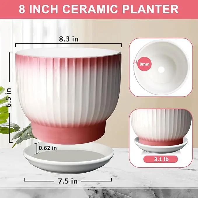 8 Inch Plant Pot, Ceramic Planter with Drainage and Saucer, Ceramic Pots for Plants, Indoor Plant pots,Flower pots(Pink + White, Plants NOT Included) by GreenHaven Gardens