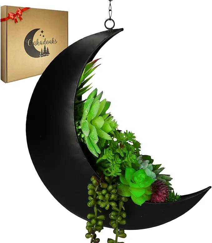 Hanging Moon Planter for Moon Room Decor - Great for Succulents, Air Plant, Mini Cactus, Faux, Artificial Plants-Boho Hanging Planters for Indoor Plants, Witchy Gifts for Women, Birthdays,Plant Lovers by GreenHaven Gardens