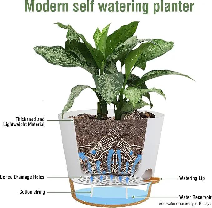 12 inch Large Self Watering Pots for Indoor Outdoor Plants, Flower Plant Pots with Drainage Holes for Garden House Plants, Plastic Planters with Reservoir for Home Plants, White with Brown by GreenHaven Gardens