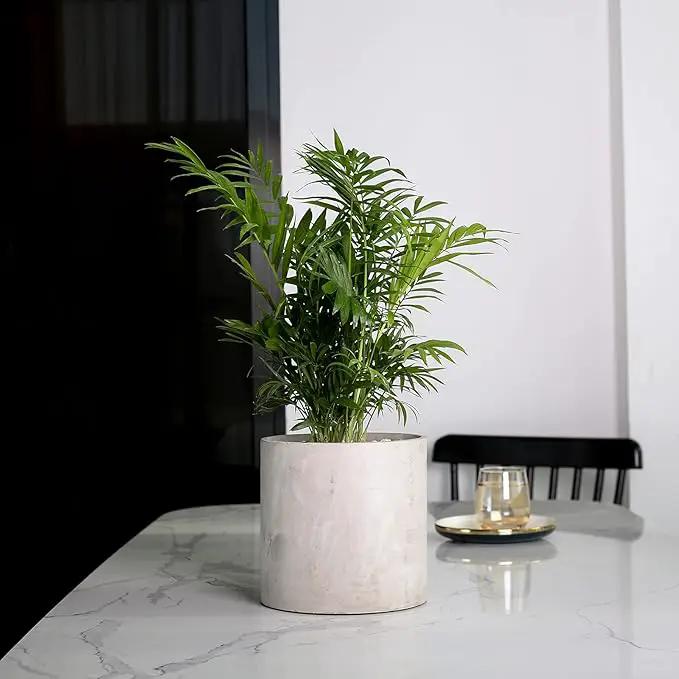 Plant Pots - 6.7 inch Cement Planters Indoor - Modern Grey Flower Pot with Drainage Hole - Home Office Decor by GreenHaven Gardens