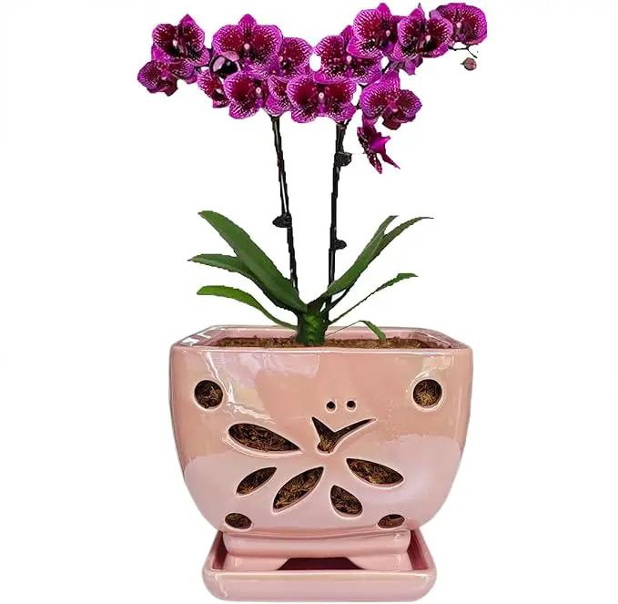Orchid Pots with Holes Square Ceramic Orchid Planter Pots 5.5 inch (Pink) by GreenHaven Gardens