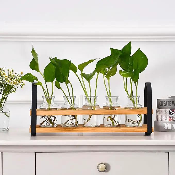 Plant Propagation Stations with Wood Stand, Desktop Plant Terrarium for Propagating Hydroponic, Flower Vase for Home Kitchen Office Decor, Plant Lover Gifts by GreenHaven Gardens