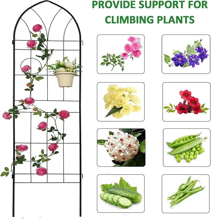 4 Pack Metal Garden Trellis 78.7" H Garden Fence Rustproof Trellis for Climbing Plants Support Roses Flower Outdoor Lawn Black by GreenHaven Gardens