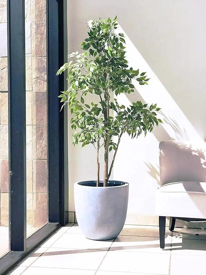 Kante 14 Inch Dia Round Concrete Planter, Indoor Outdoor Large Plant Pot with Drainage Hole and Rubber Plug for Home Patio Garden, Gray by GreenHaven Gardens