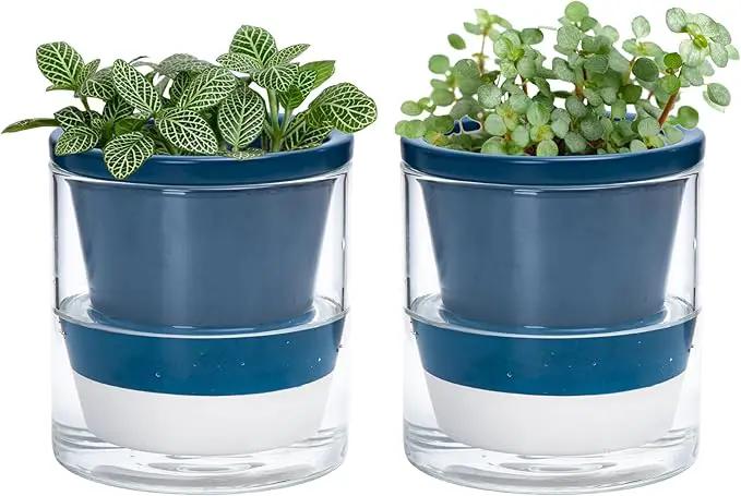 D'vine Dev 4 Inch Design Self Watering Planter for Indoor Plants, Blue Terracotta Pot with Cylinder Glass Cup, Set of 2, 37-Y-A-4 by GreenHaven Gardens