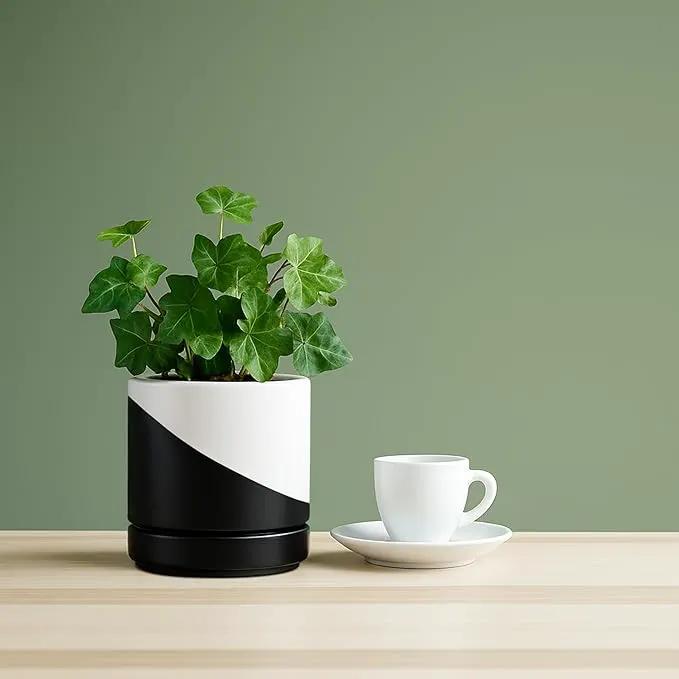 D'vine Dev 4.6 Inch Ceramic Planter Pot with Drainage Hole and Saucer, Indoor Cylinder Round Planter Pot, Oblique Monochrome Black and White, 94-O-B-K by GreenHaven Gardens