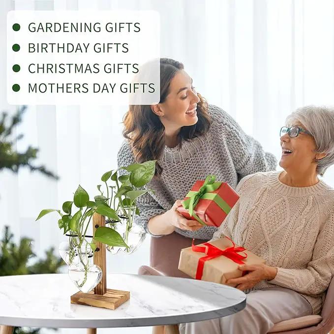 Plants Propagation Stations Plant Terrarium Kit Glass Planters for Indoor Plants House Plant Accessories Gift for Women - 4 Love Bulb Vase by GreenHaven Gardens