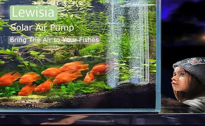 Lewisia 8W Solar Pond Aerator with Built-in 2400mAh Battery Backup, 3 Working Modes, 2 Air Stones, Solar Air Pump for Pond Fish Tank Hydroponics Bubble Oxygenator by GreenHaven Gardens