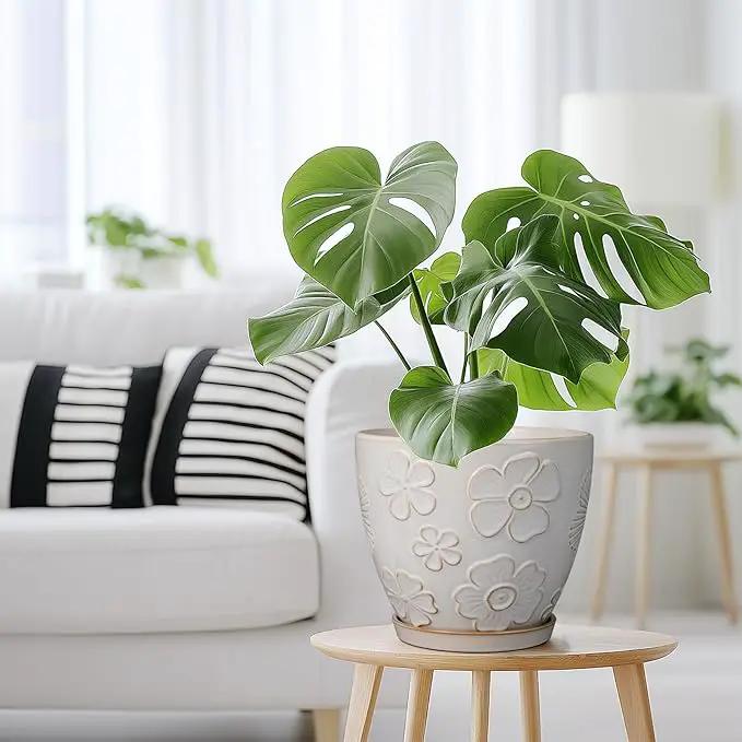 Ceramic Planter 8 Inch Plant Pot with Drainage Hole and Saucer Ceramic Pots for Indoor Plants Outdoor Large Flower Pot for Home Decor White by GreenHaven Gardens