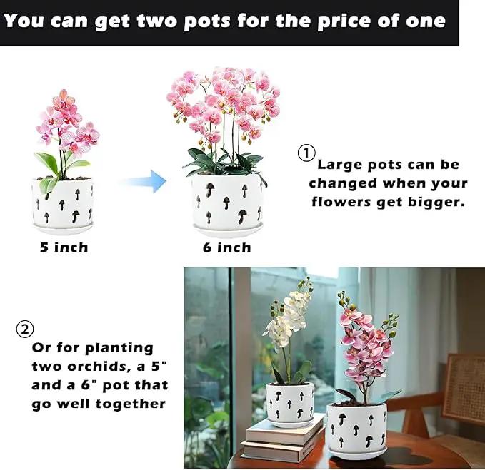 KERUITA Orchid Pots with Holes,5 inch + 6 inch Ceramic Planters Set of 2 with 2 Tray,White Flower Pot with Dancing Mushroom Shaped Vent, Enhanced Drainage and Ventilation by GreenHaven Gardens