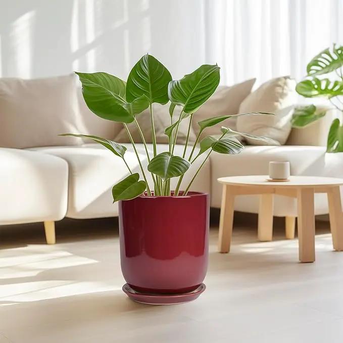 Ceramic Planter for Plants - 10 Inch Plant Pot Indoor with Drainage Hole and Saucer Modern Large Outdoor Planter Flower Pot for Home Decor Red by GreenHaven Gardens