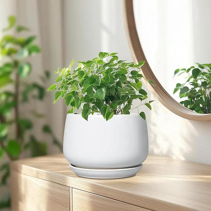 G EPGardening Ceramic Pots for Plants - 7 Inch Planter for Indoor Plants, Round Flower Pots with Drainage and Saucer, Modern Outdoor Planter, Garden Decor, Home Gifts, White by GreenHaven Gardens