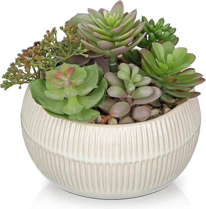DILATATA Artificial Succulent Plants in Pot 5.5 Inch Fake Succulents Arrangement Potted Plant in White Ceramic Planter Bowl for Home Office Desk Shelf Living Room Bedroom Bathroom Decor by GreenHaven Gardens