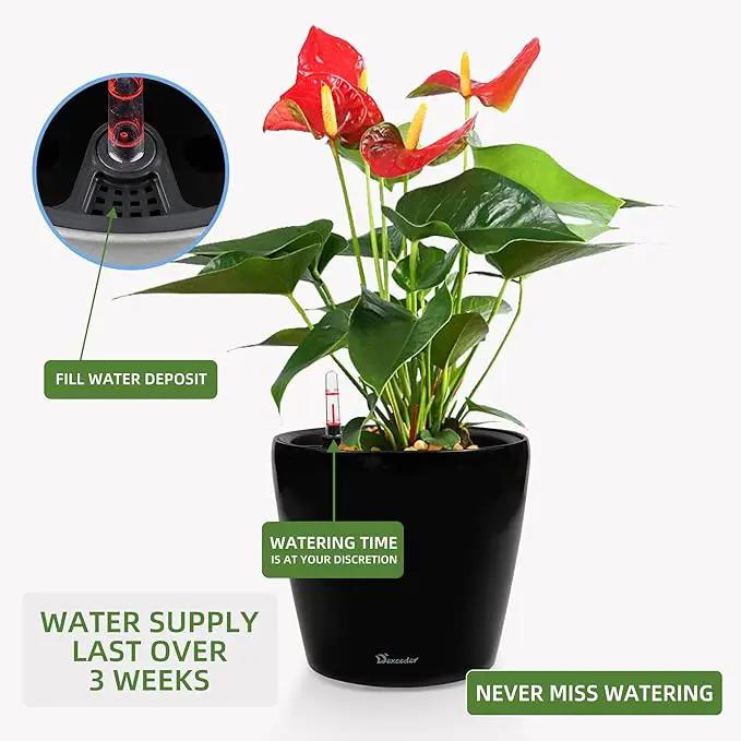 Dexceder 9x8 Inches High Gloss Self Watering Planter Indoor Outdoor, Inner Pot Design, Thickened Table Flower Plant Pot with Water Level Indicator (Black) by GreenHaven Gardens