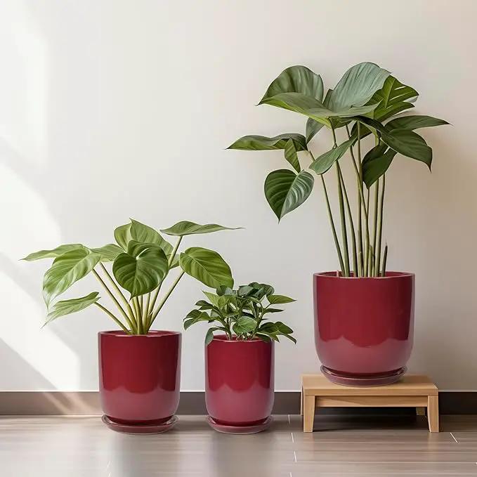 Ceramic Pot for Plants - 8 Inch Plant Pot Indoor with Drainage Hole and Saucer Cylinder Flower Pot for Indoor Outdoor Plants Home Patio Office Decor Red by GreenHaven Gardens