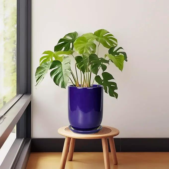 Ceramic Plant Pot - 8 Inch Planter for Indoor Plants Outdoor Flower Pot with Drainage Hole and Saucer Home Patio Office Decor Blue by GreenHaven Gardens