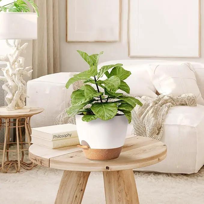 White Self Watering Pots with Drainage Planting Pot for HousePlants Plastic Flower Pots Outdoor Plant Pots Gift Idea Decorative Flower Pots Draining Pots for Indoor Plants by GreenHaven Gardens