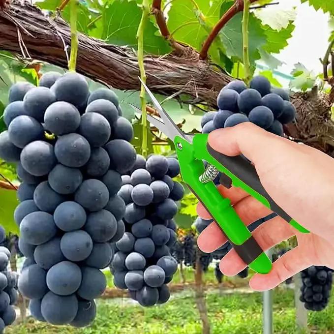 15 Pack 6.5 Inch Green Garden Pruning Scissors, Stainless Steel Blades Hand Pruner, Sharp Point Gardening Shears Cutter, A Must-have Gardening Pruning Shear, Supplies & Accessories by GreenHaven Gardens